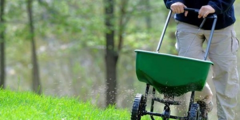 7 Najboljih gnojiva za travnjak za jesen